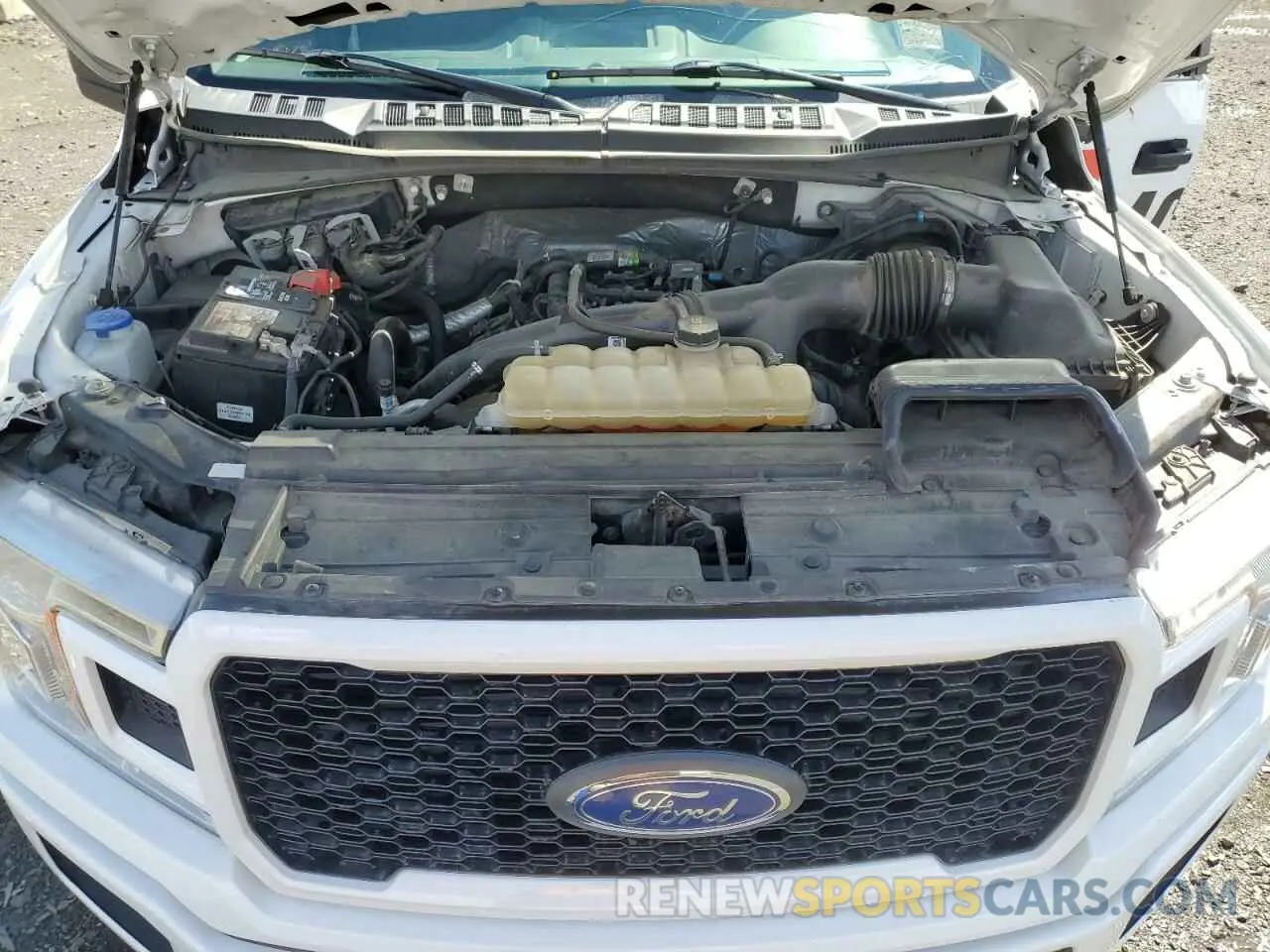 11 fotografías del automóvil dañado 1FTEW1EP7KKE96101 FORD F-150 2019