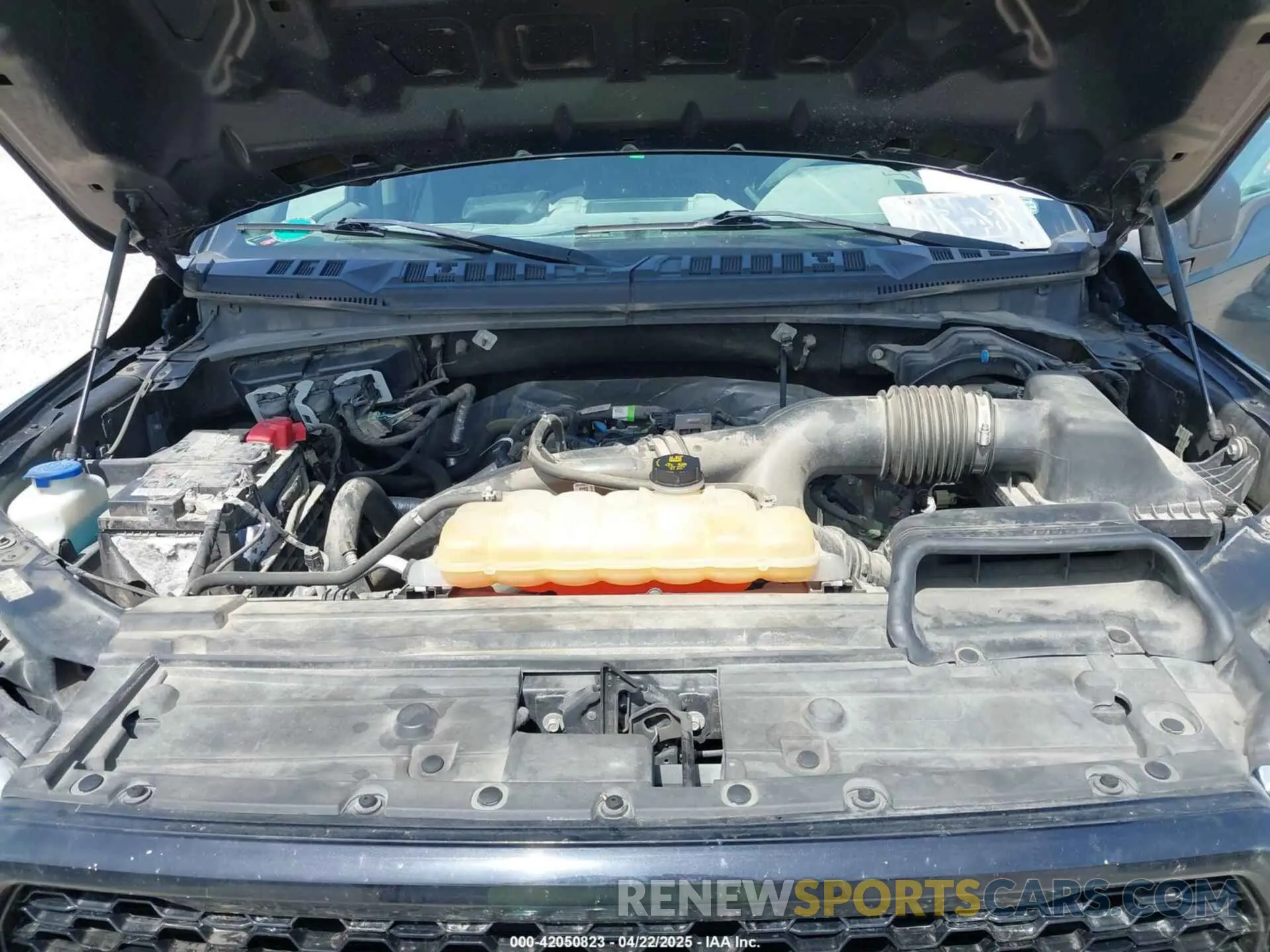 10 fotografías del automóvil dañado 1FTEW1EP8KFA11540 FORD F-150 2019