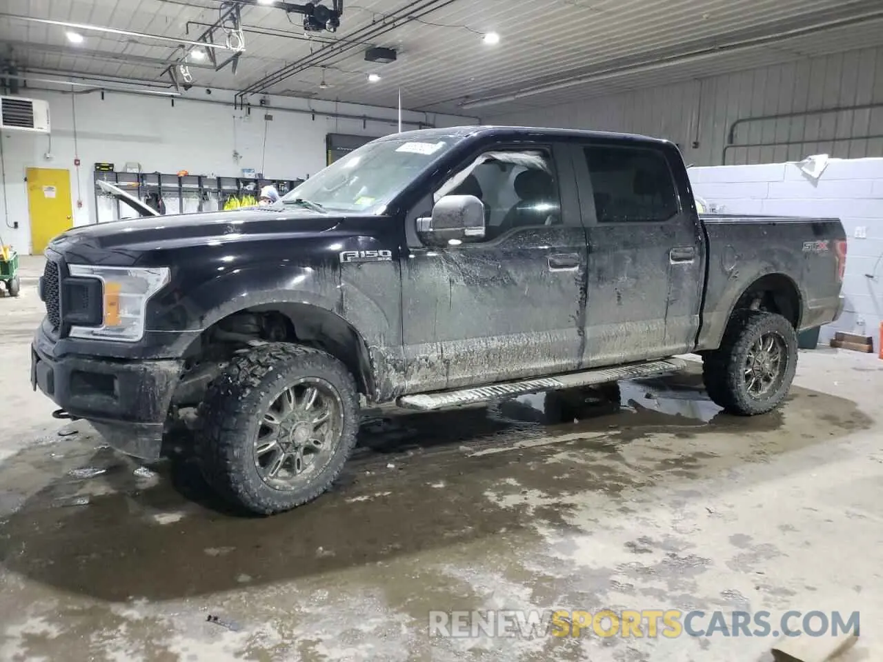 1 fotografías del automóvil dañado 1FTEW1EP8KFC21913 FORD F-150 2019