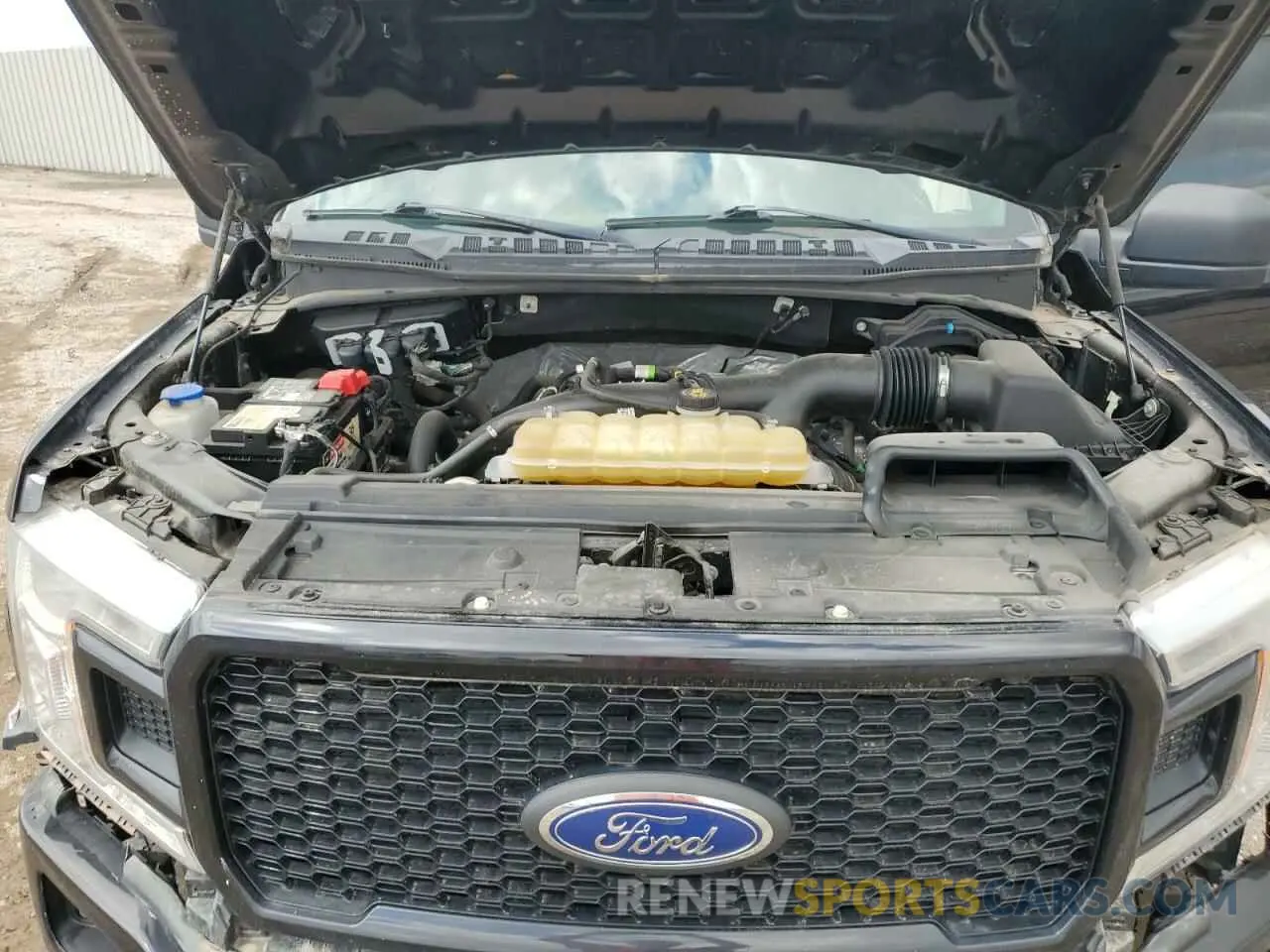 11 fotografías del automóvil dañado 1FTEW1EP8KKD04376 FORD F-150 2019