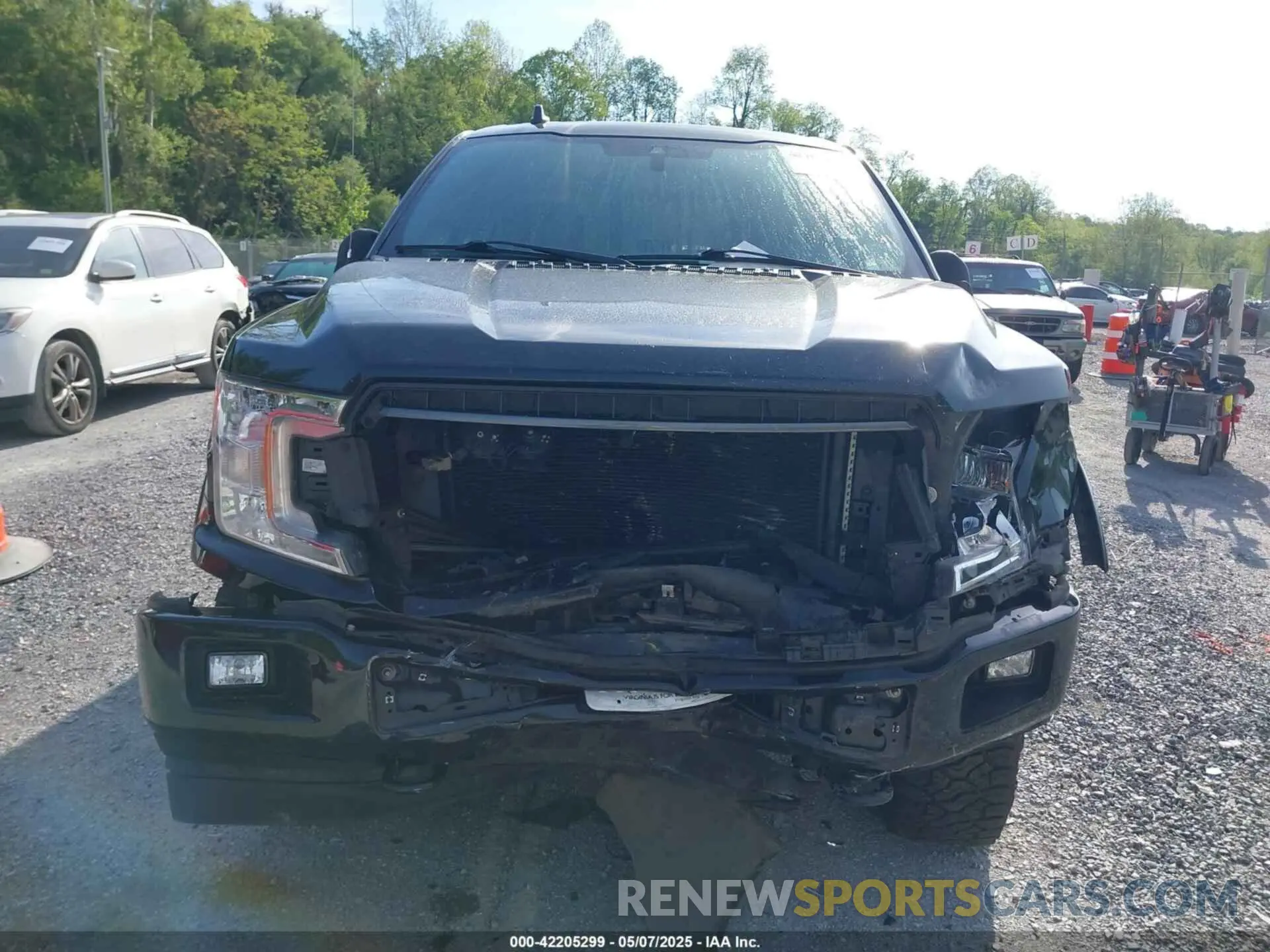 11 fotografías del automóvil dañado 1FTEW1EP9KFA54655 FORD F-150 2019