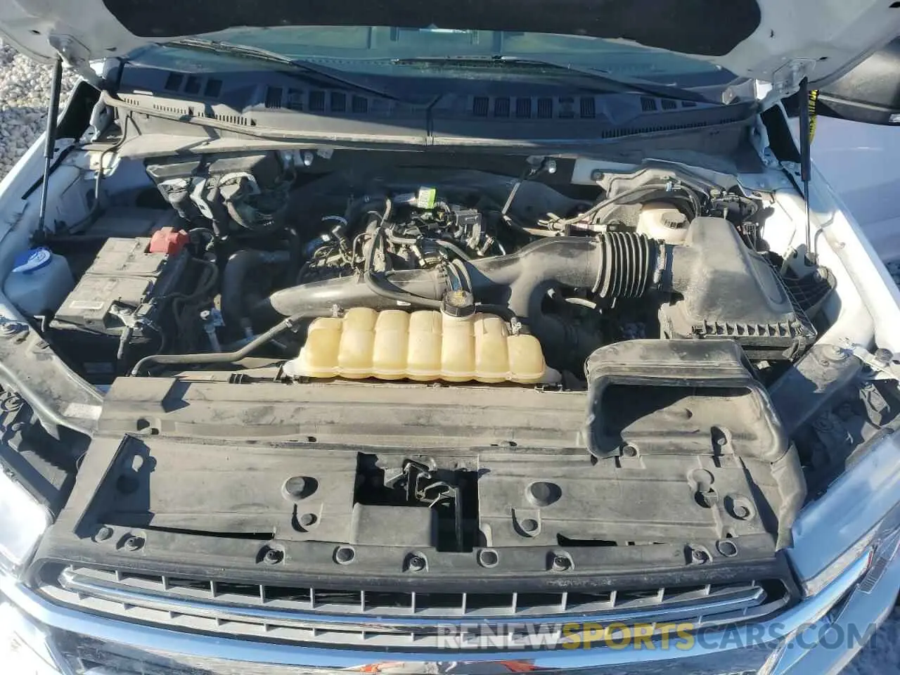 11 fotografías del automóvil dañado 1FTEW1EP9KKE88890 FORD F-150 2019