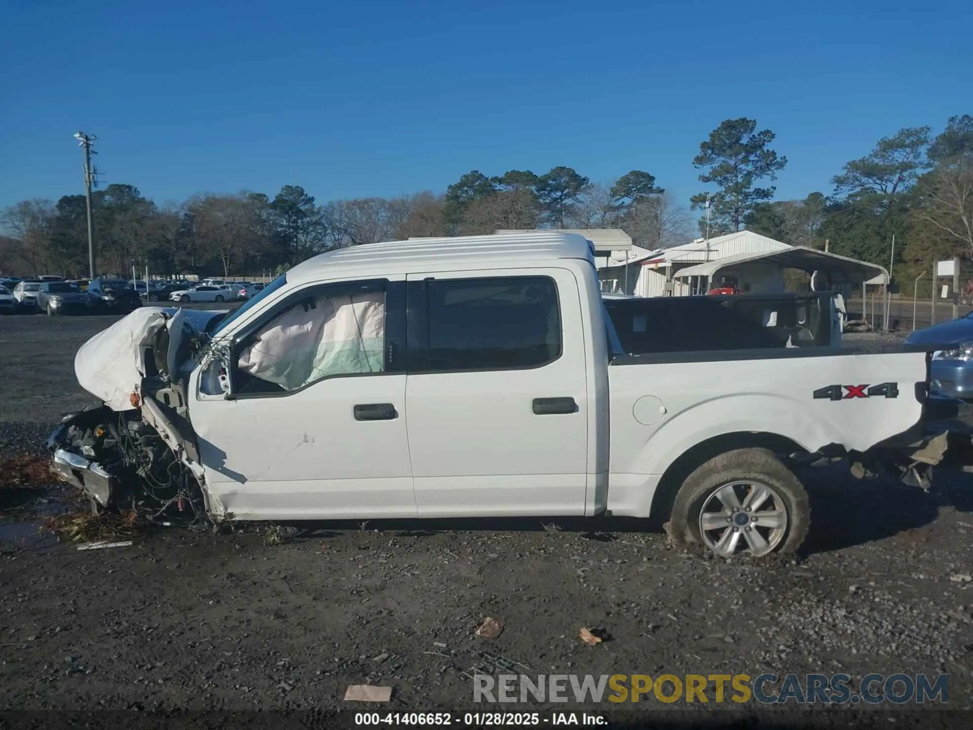13 fotografías del automóvil dañado 1FTEW1EPXKFA49089 FORD F-150 2019