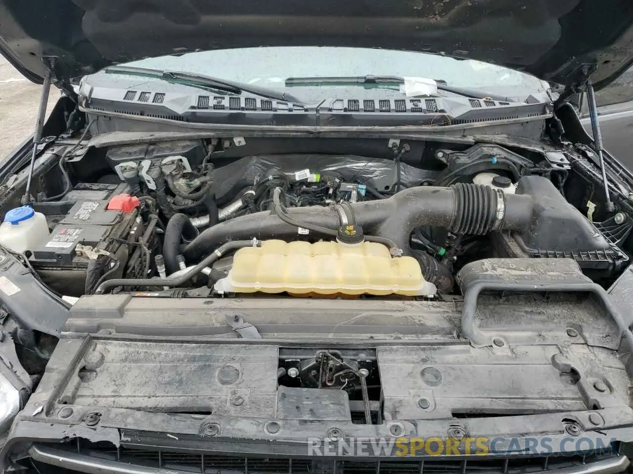 11 fotografías del automóvil dañado 1FTEW1EPXKFB15382 FORD F-150 2019