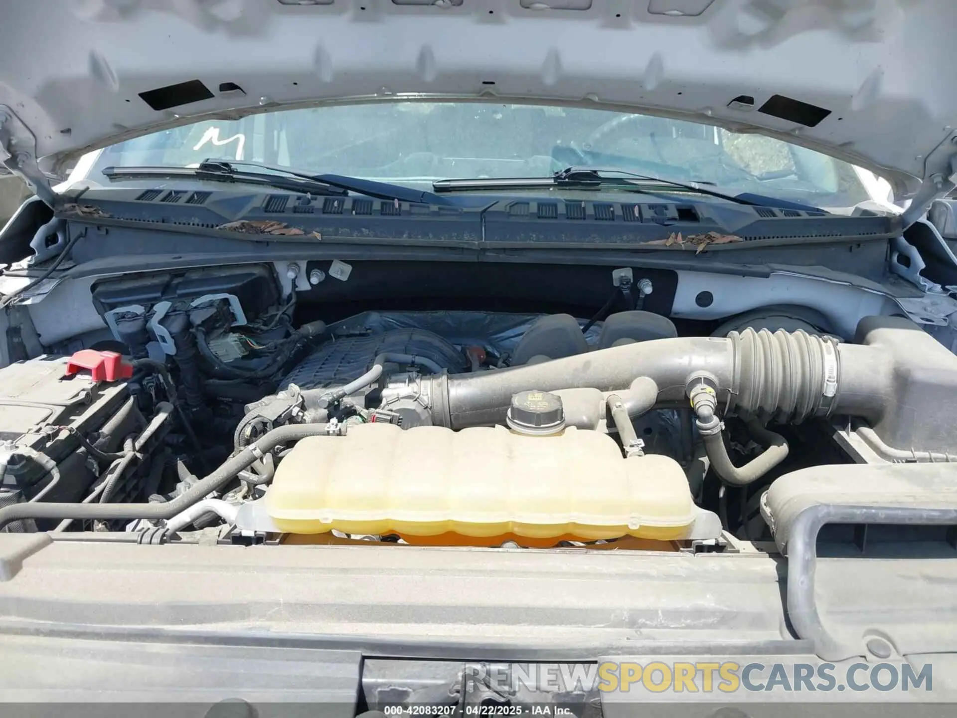 10 fotografías del automóvil dañado 1FTEX1CB9KFB64528 FORD F-150 2019