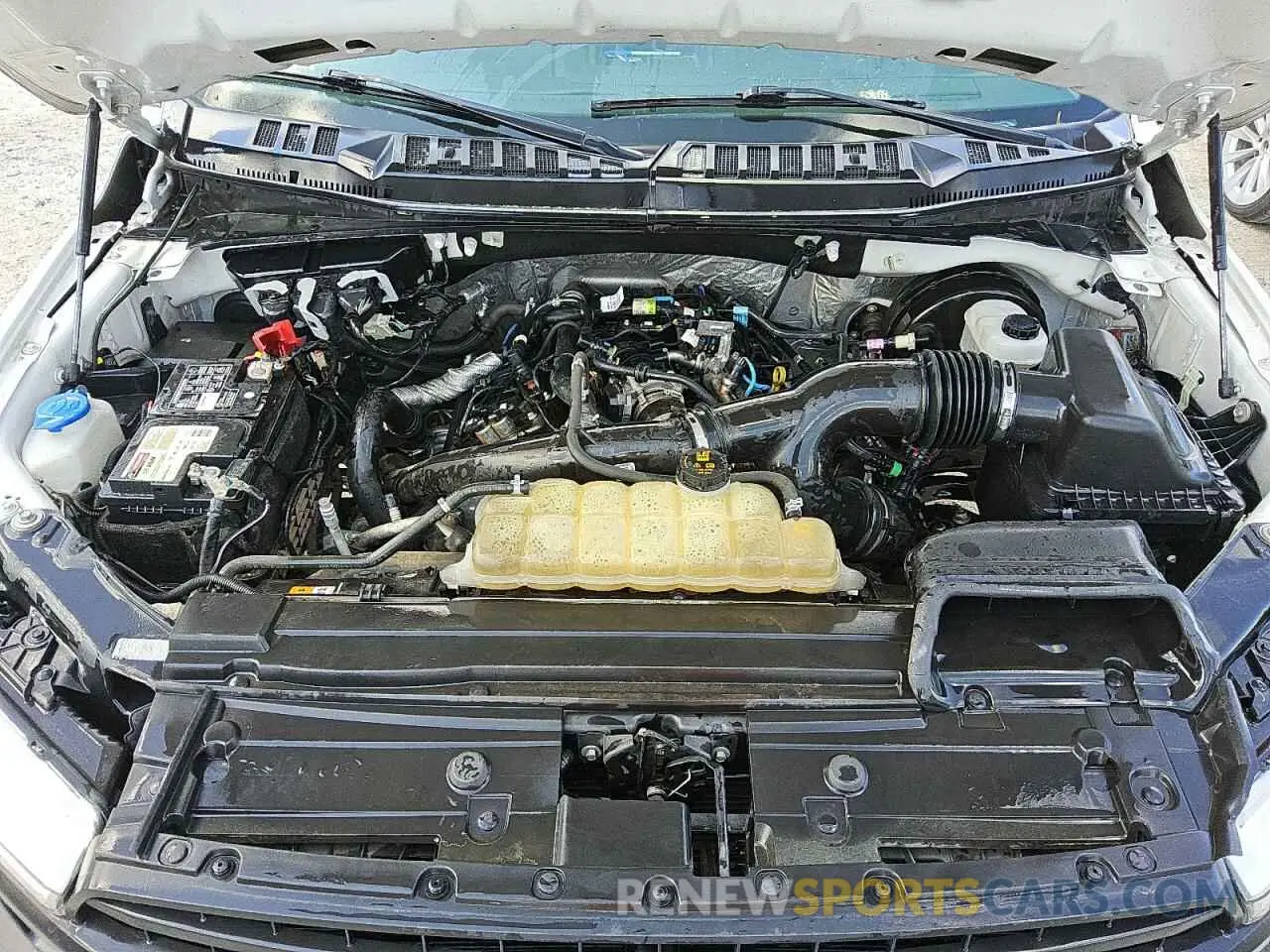 11 fotografías del automóvil dañado 1FTEX1CP3KKE83250 FORD F-150 2019
