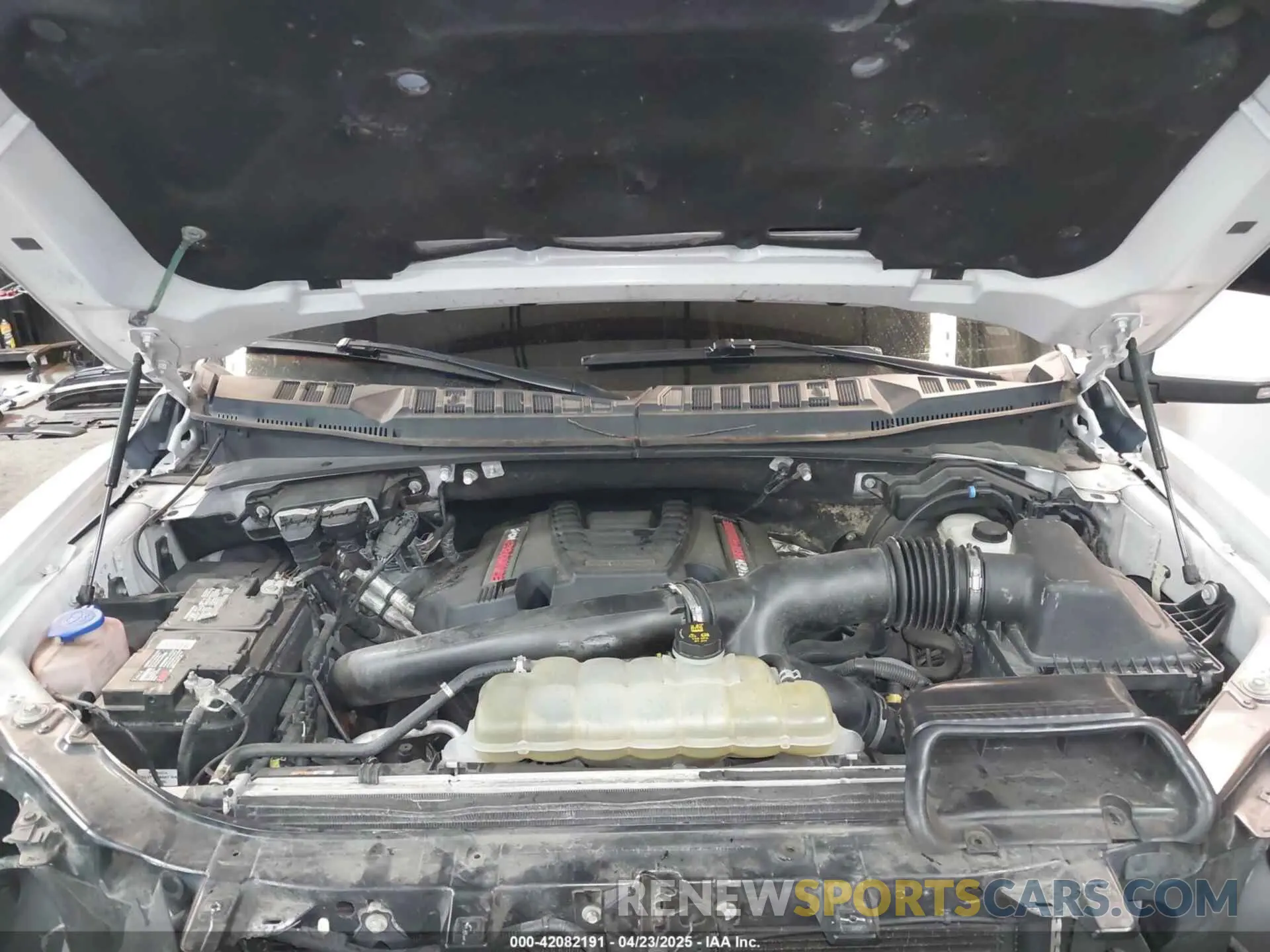10 fotografías del automóvil dañado 1FTFW1RG3KFC98445 FORD F-150 2019