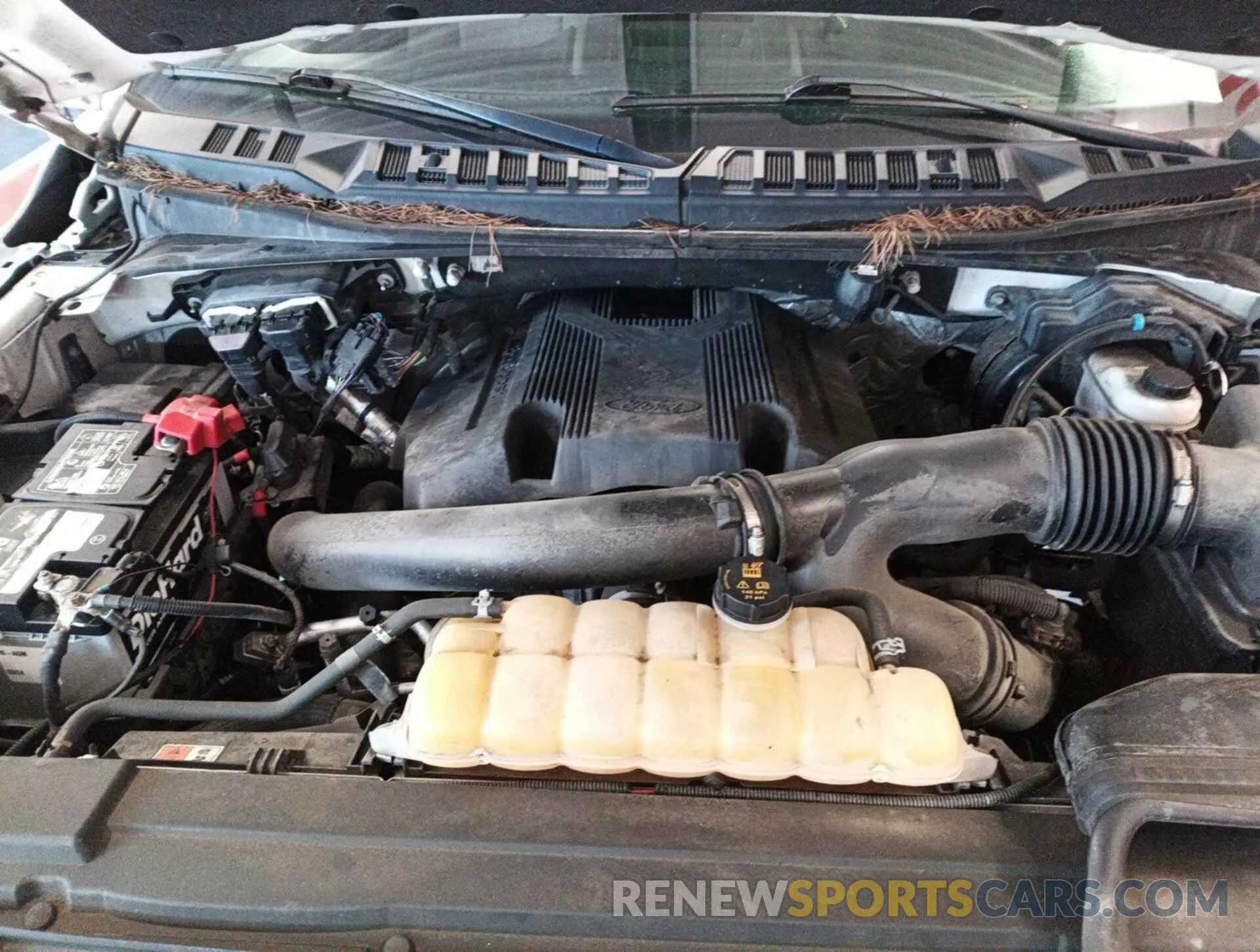 17 fotografías del automóvil dañado 1FTFX1E48KKC43585 FORD F-150 2019