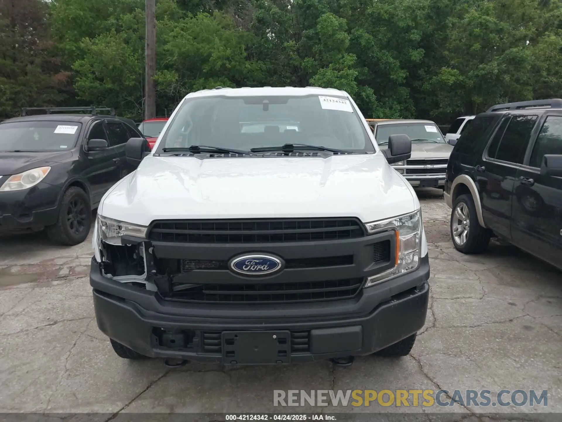 12 fotografías del automóvil dañado 1FTFX1E52KKD85150 FORD F-150 2019