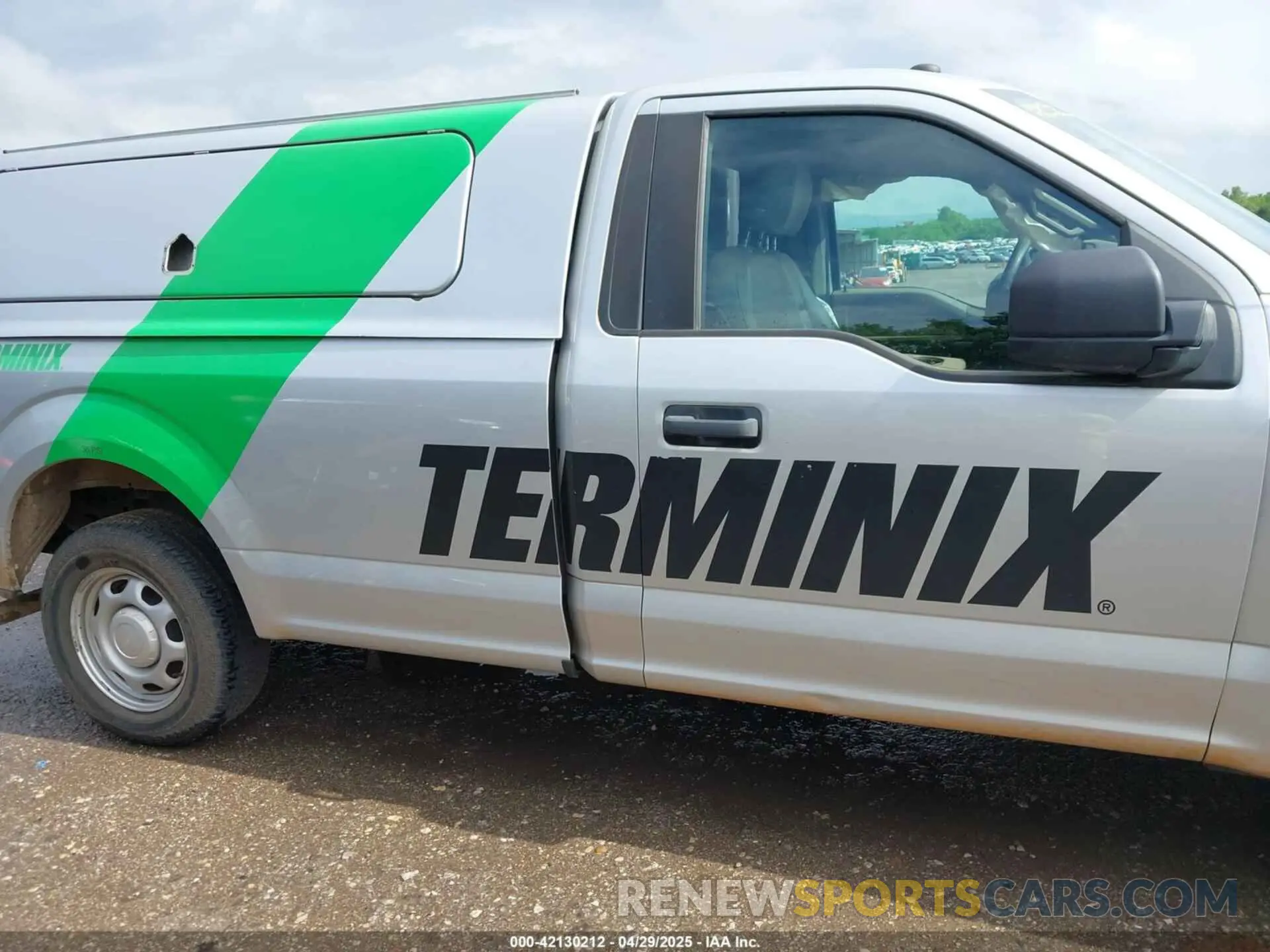 13 fotografías del automóvil dañado 1FTMF1C54KKD52096 FORD F-150 2019