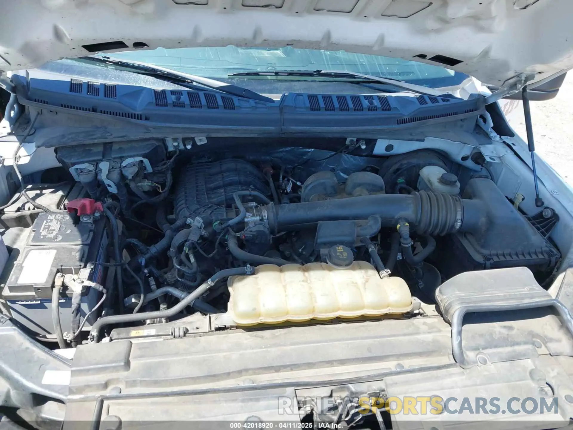 10 fotografías del automóvil dañado 1FTMF1CB3KKC86887 FORD F-150 2019