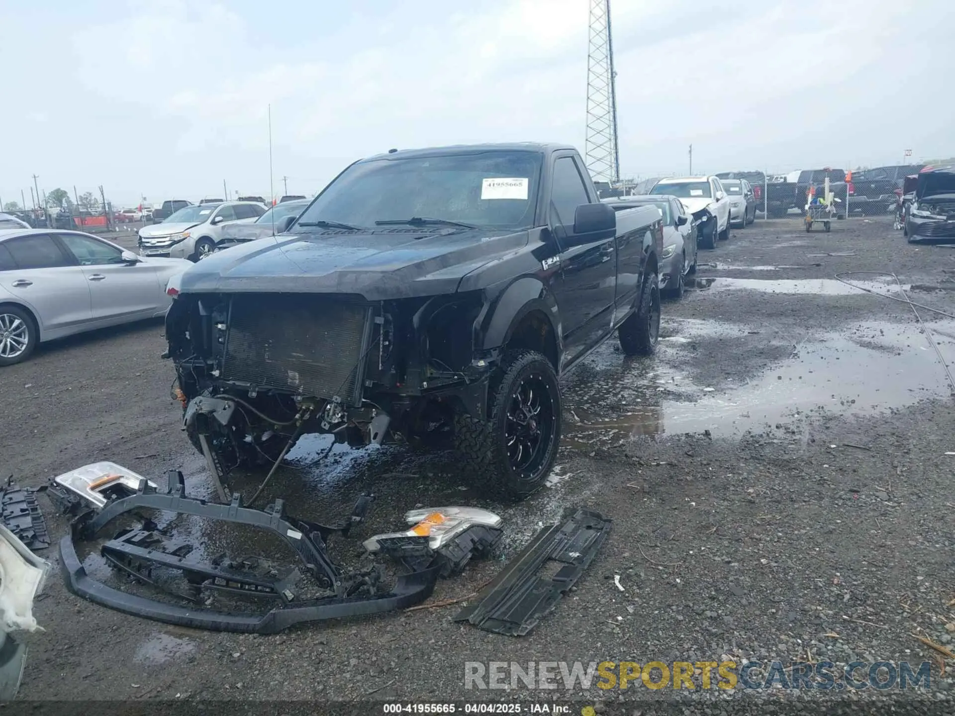 12 fotografías del automóvil dañado 1FTMF1CB7KKD87222 FORD F-150 2019