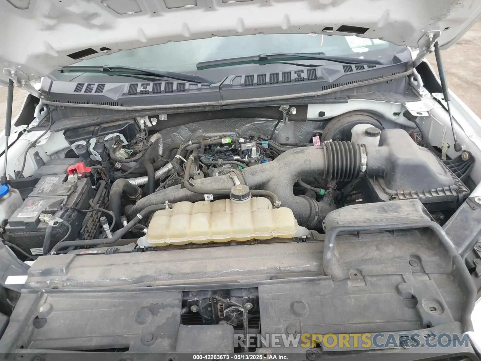 10 fotografías del automóvil dañado 1FTMF1CP6KKF11931 FORD F-150 2019