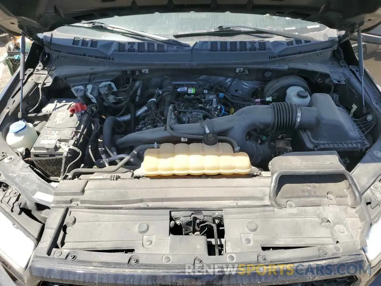 11 fotografías del automóvil dañado 1FTEW1CP0LKF37365 FORD F-150 2020