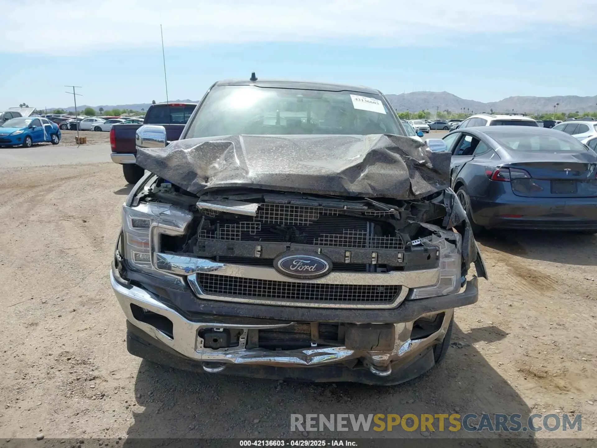 12 fotografías del automóvil dañado 1FTEW1E43LFA80224 FORD F-150 2020