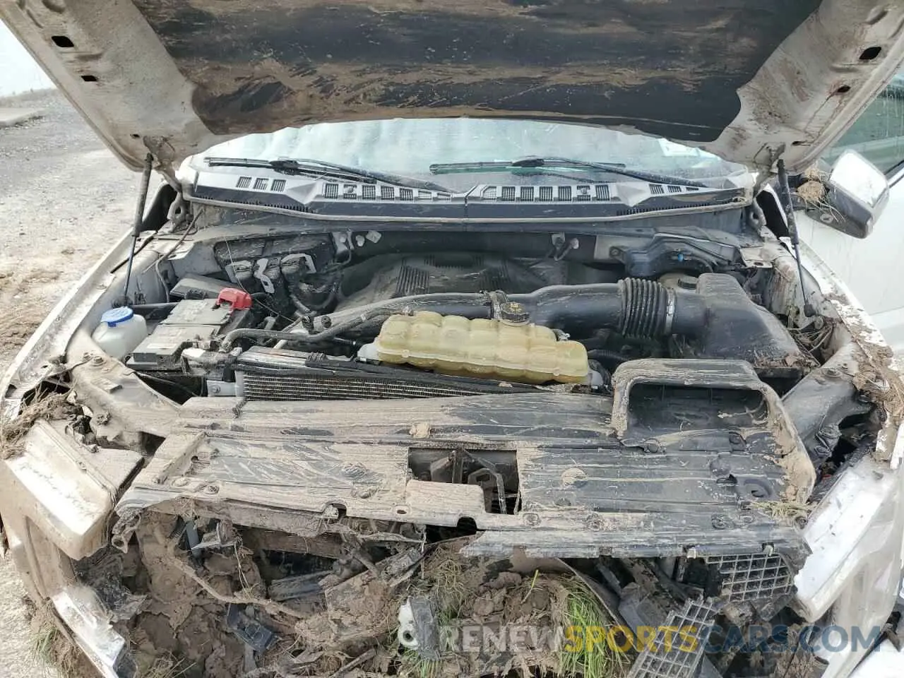 11 fotografías del automóvil dañado 1FTEW1E44LFA74576 FORD F-150 2020