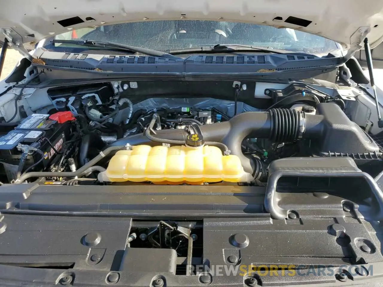12 fotografías del automóvil dañado 1FTEW1EP0LKE45735 FORD F-150 2020