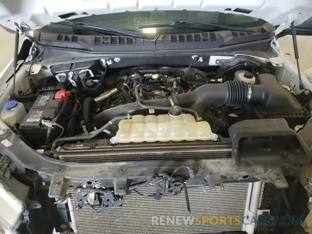 11 fotografías del automóvil dañado 1FTEW1EP1LFB43735 FORD F-150 2020