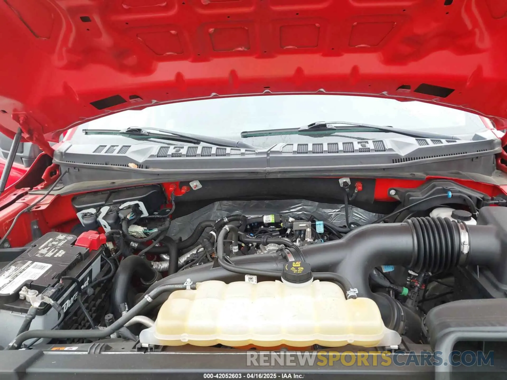 10 fotografías del automóvil dañado 1FTEW1EP1LFC56374 FORD F-150 2020