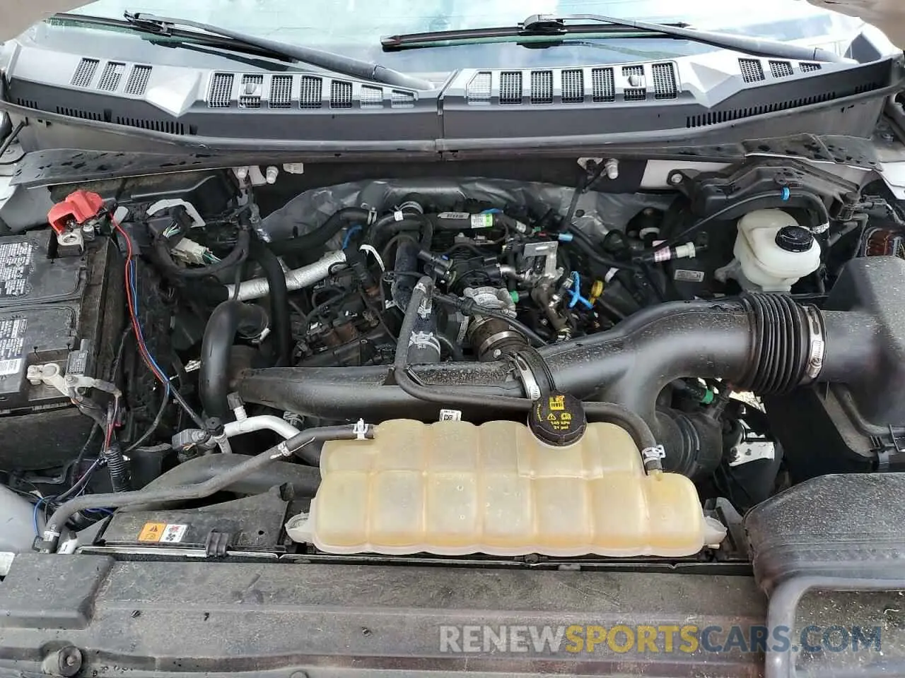 12 fotografías del automóvil dañado 1FTEW1EP1LKD36748 FORD F-150 2020