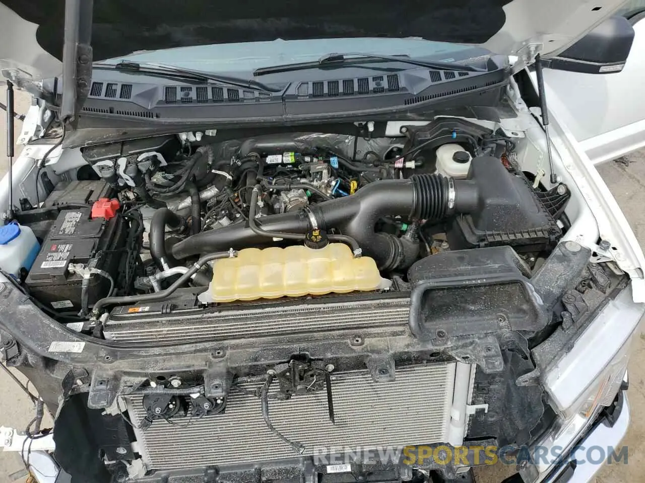 11 fotografías del automóvil dañado 1FTEW1EP1LKF36366 FORD F-150 2020