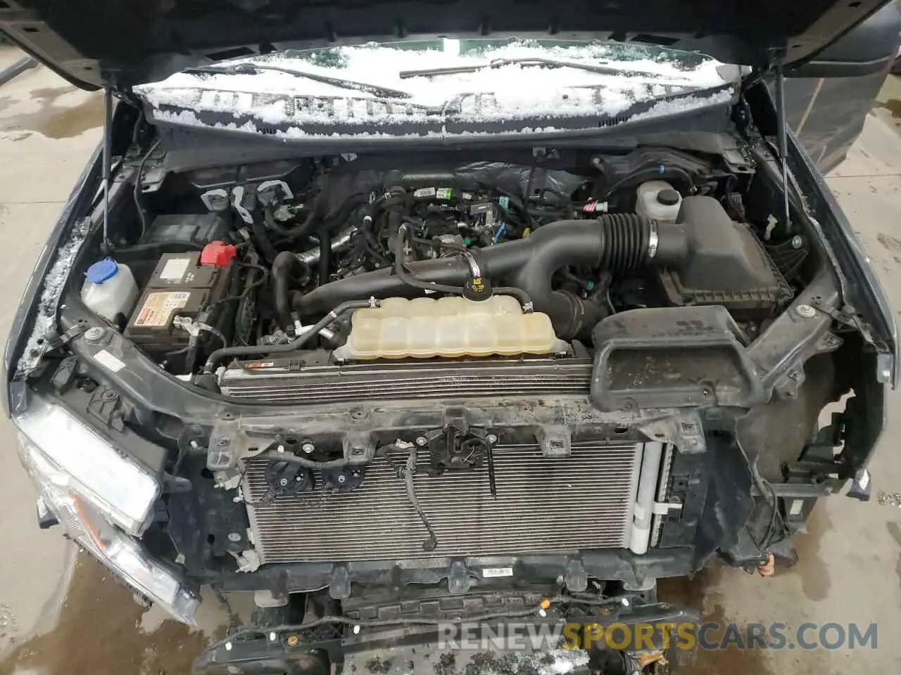 11 fotografías del automóvil dañado 1FTEW1EP2LFA90124 FORD F-150 2020