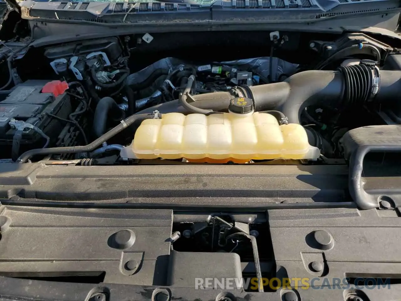 12 fotografías del automóvil dañado 1FTEW1EP2LFB19198 FORD F-150 2020