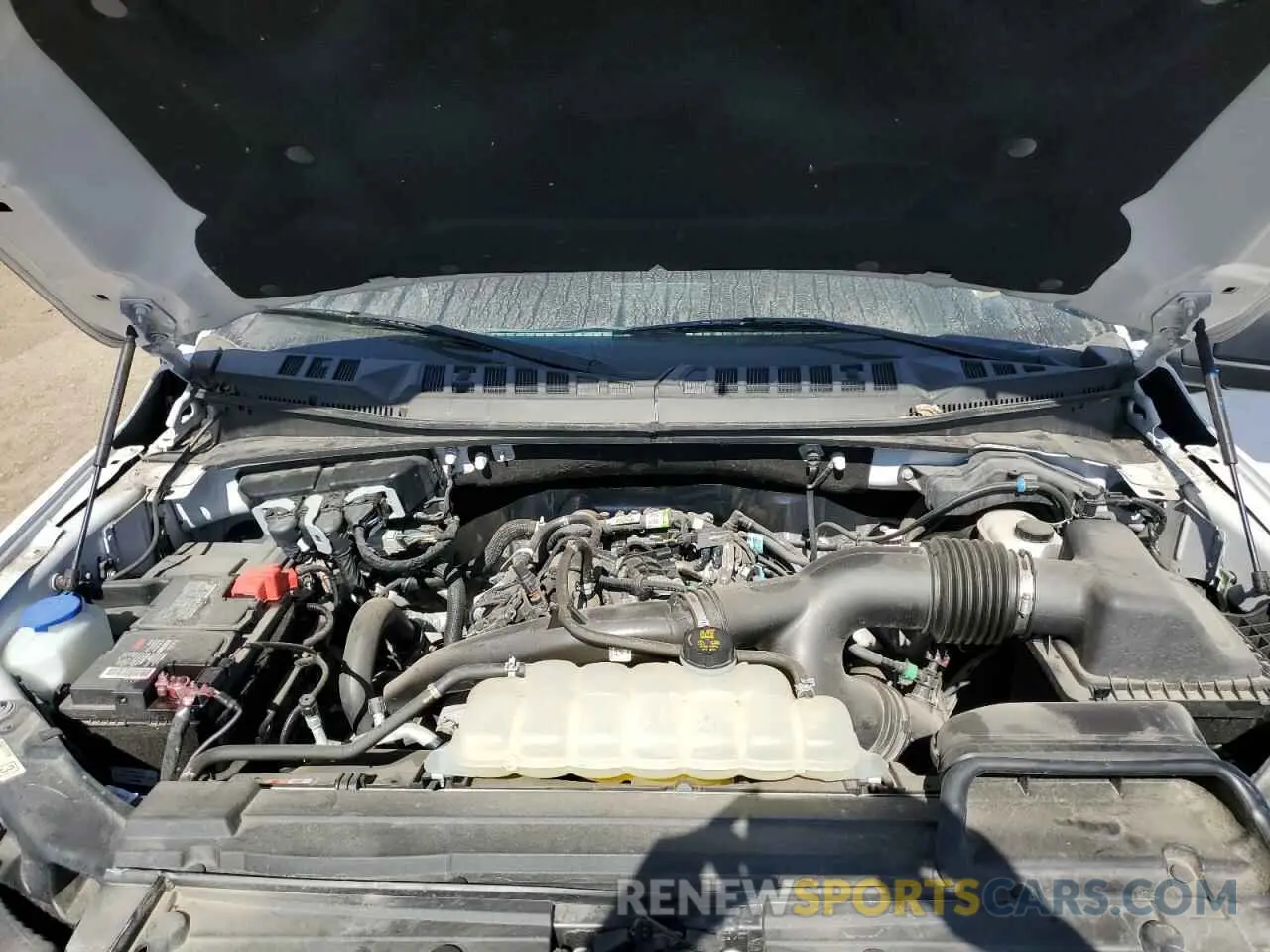 11 fotografías del automóvil dañado 1FTEW1EP3LFB32364 FORD F-150 2020