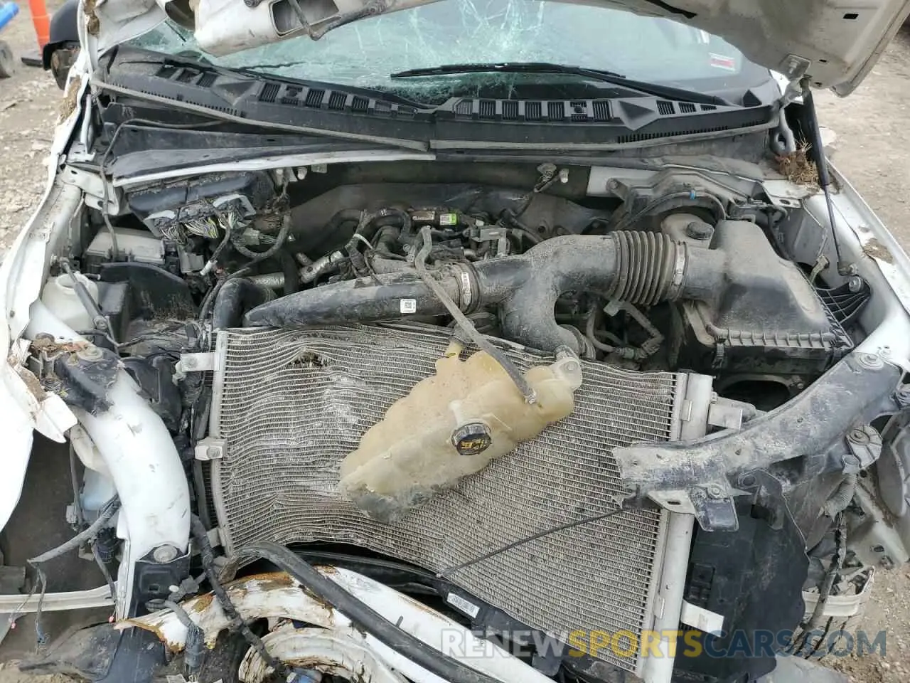 11 fotografías del automóvil dañado 1FTEW1EP4LKD49588 FORD F-150 2020