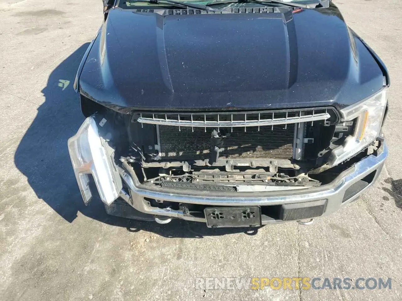 11 fotografías del automóvil dañado 1FTEW1EP5LKF45670 FORD F-150 2020