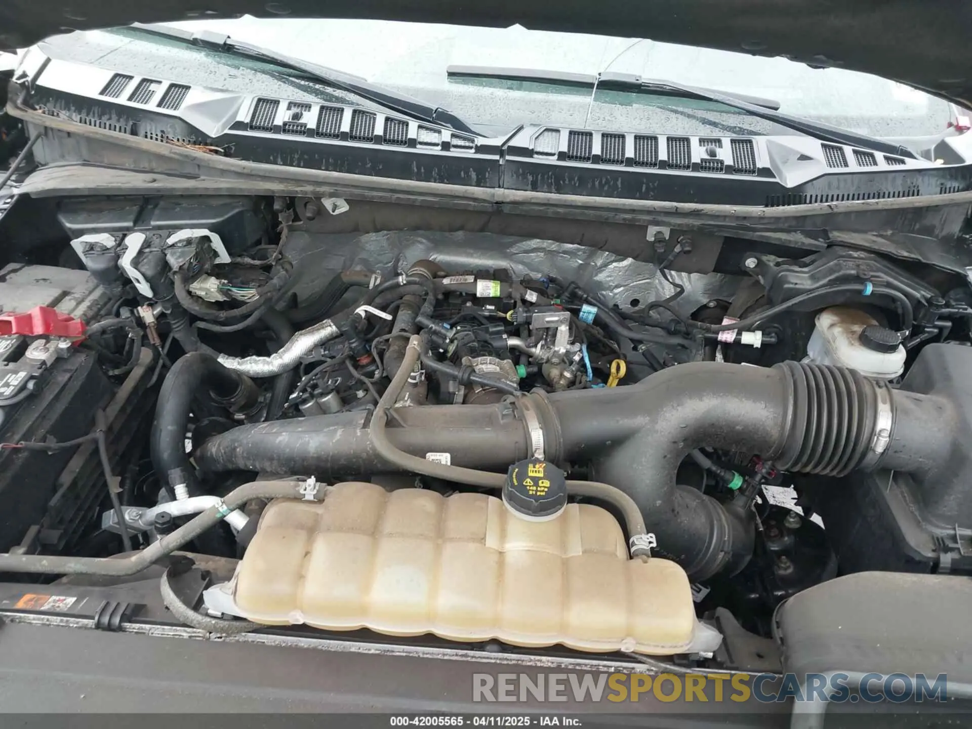 10 fotografías del automóvil dañado 1FTEW1EP7LFB03952 FORD F-150 2020