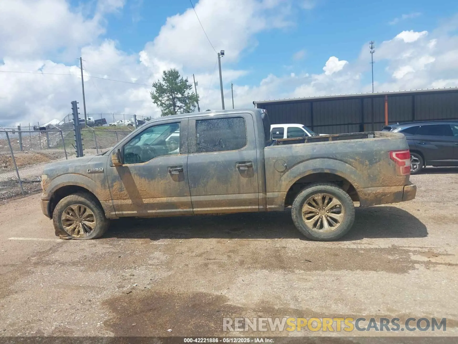 15 fotografías del automóvil dañado 1FTEW1EP7LKE69448 FORD F-150 2020