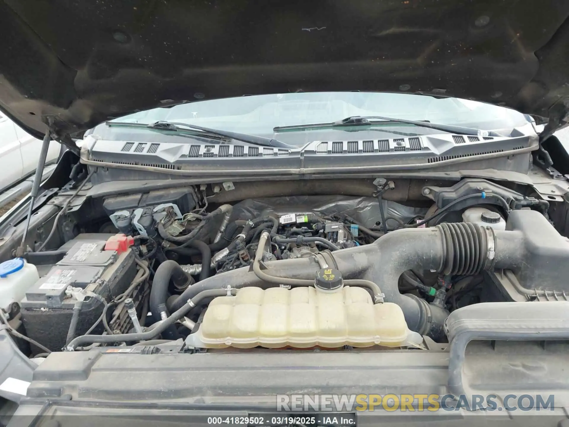 10 fotografías del automóvil dañado 1FTEW1EP9LKE48567 FORD F-150 2020