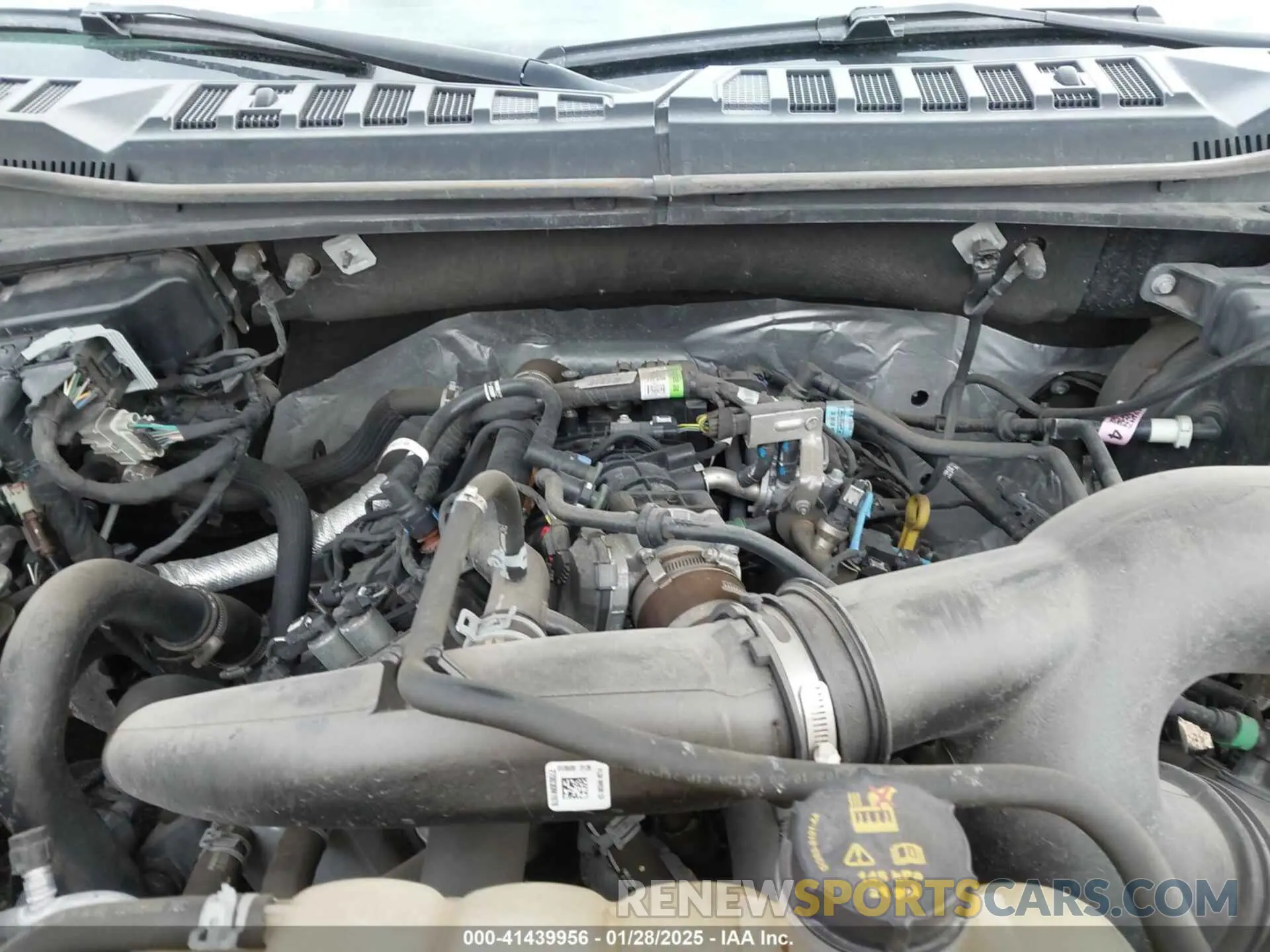 10 fotografías del automóvil dañado 1FTEW1EPXLFB45077 FORD F-150 2020