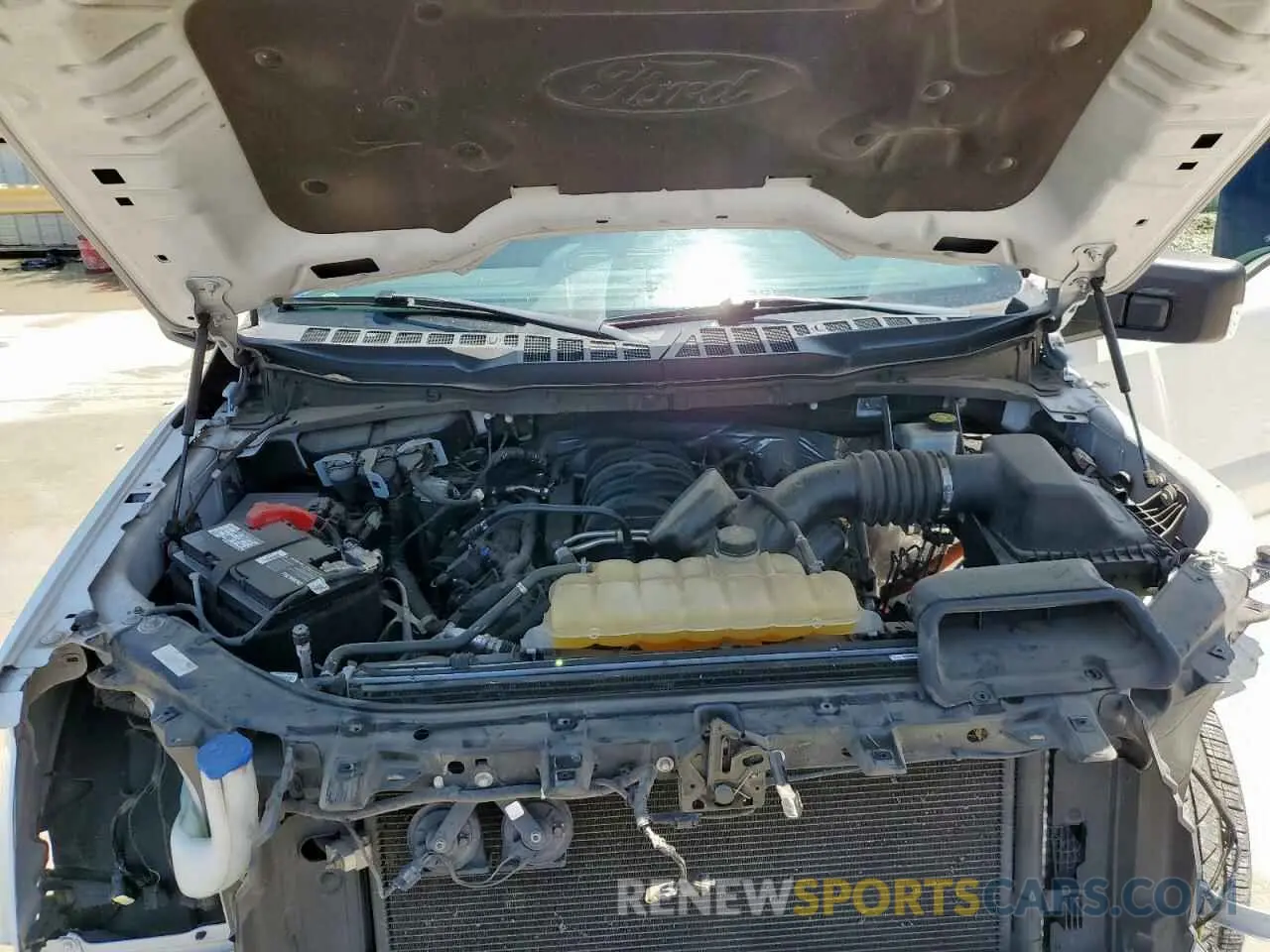11 fotografías del automóvil dañado 1FTEW1C58MFC45987 FORD F-150 2021