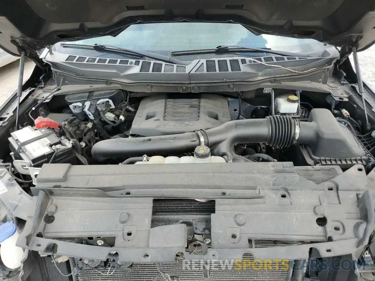 12 fotografías del automóvil dañado 1FTEW1C81MFB86470 FORD F-150 2021