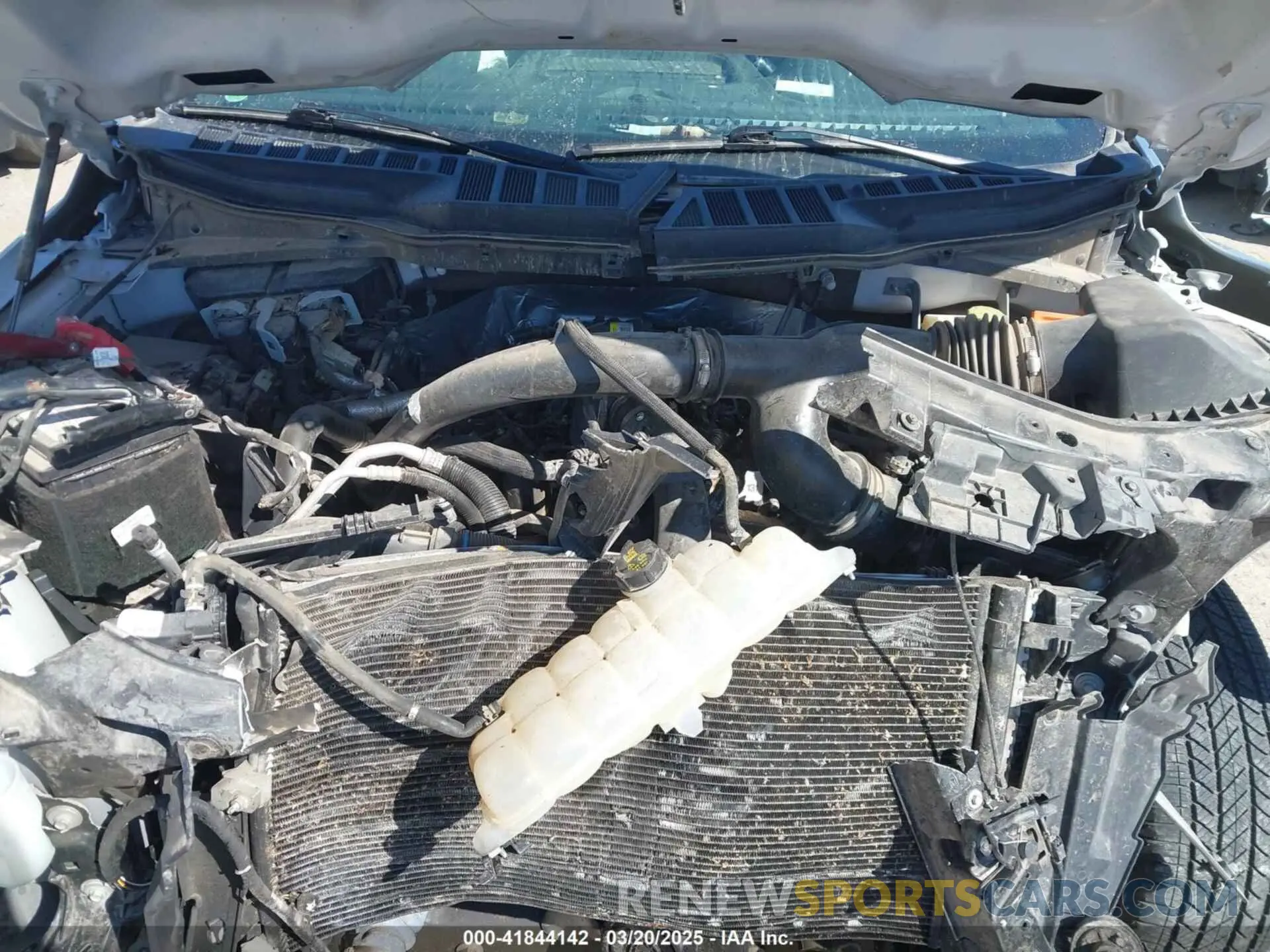 10 fotografías del automóvil dañado 1FTEW1CP1MFA37841 FORD F-150 2021