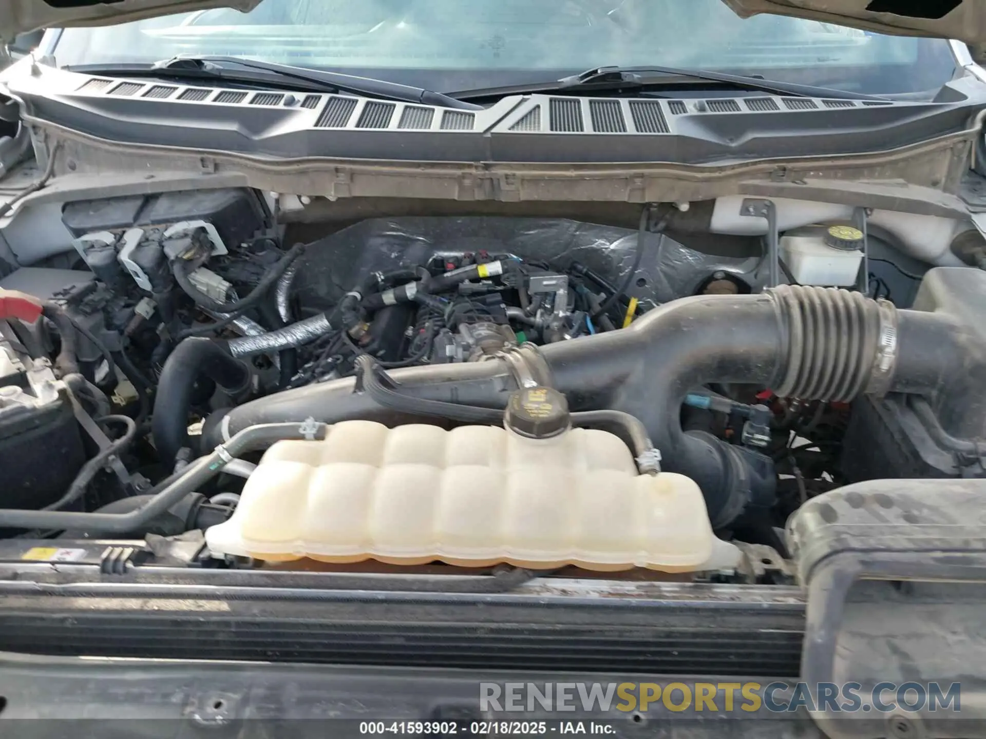 10 fotografías del automóvil dañado 1FTEW1CP1MFA69303 FORD F-150 2021