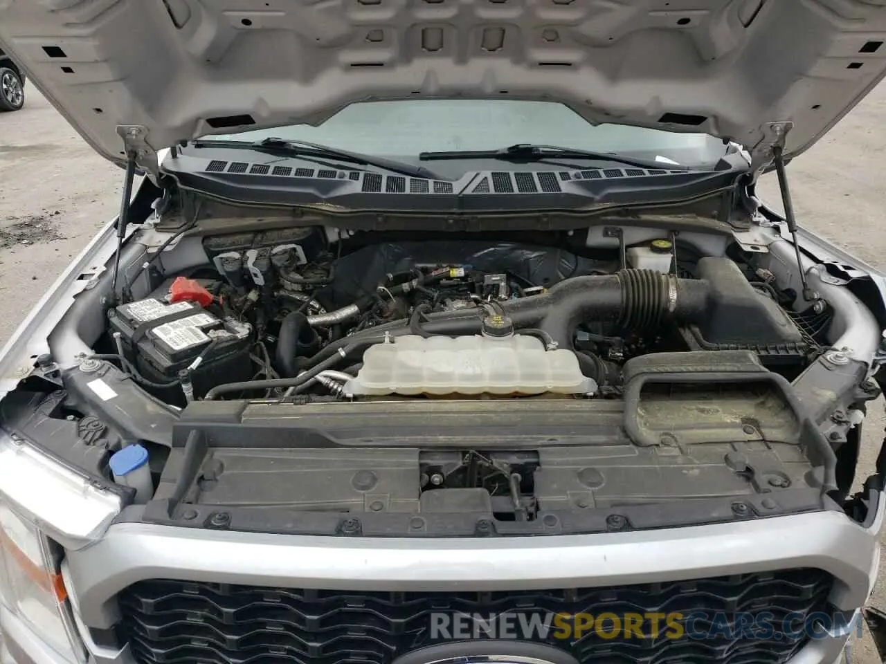 11 fotografías del automóvil dañado 1FTEW1CP6MFB98931 FORD F-150 2021