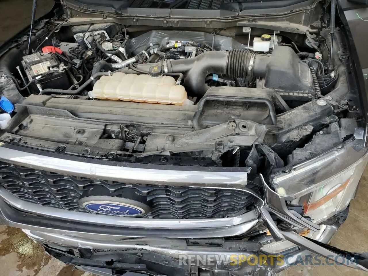 11 fotografías del automóvil dañado 1FTEW1CP6MKE92062 FORD F-150 2021