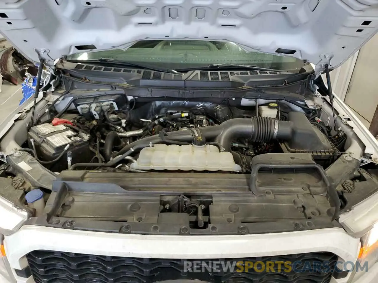 11 fotografías del automóvil dañado 1FTEW1CP7MFB23817 FORD F-150 2021