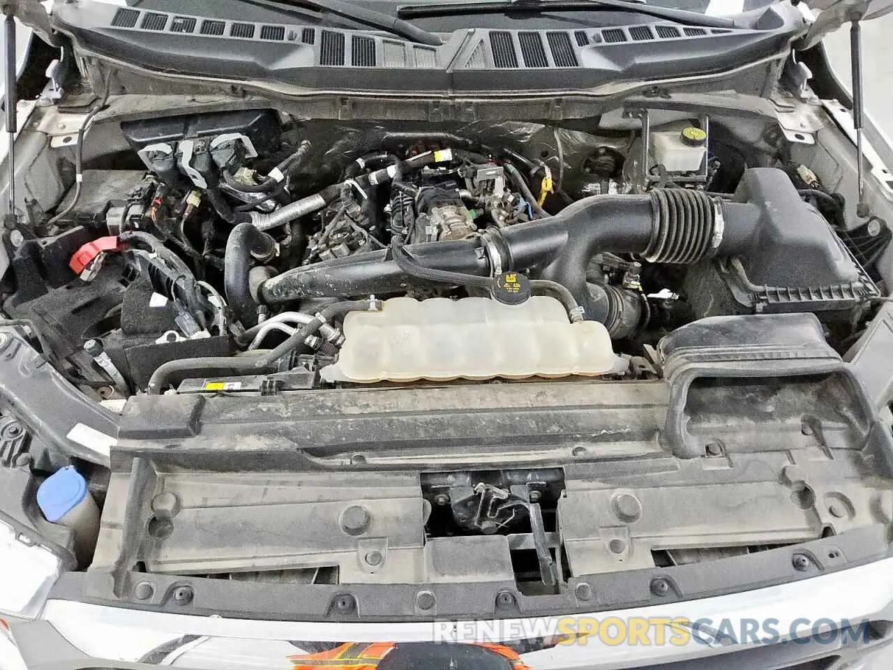 11 fotografías del automóvil dañado 1FTEW1EP1MKD70710 FORD F-150 2021