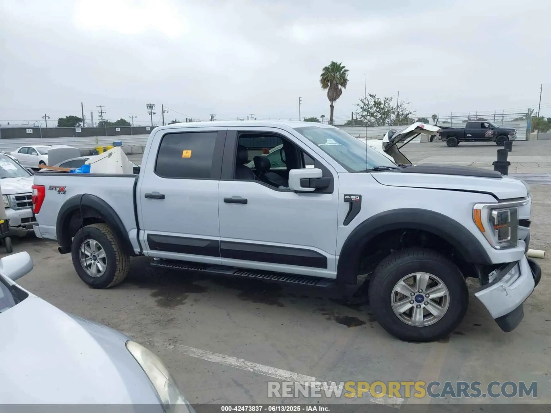 13 fotografías del automóvil dañado 1FTEW1EP2MKD26134 FORD F-150 2021