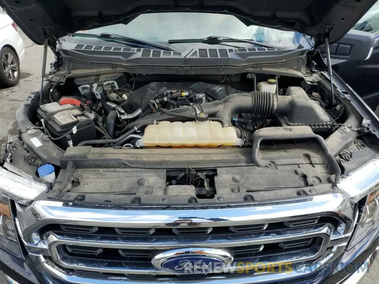11 fotografías del automóvil dañado 1FTEW1EP7MFC14874 FORD F-150 2021