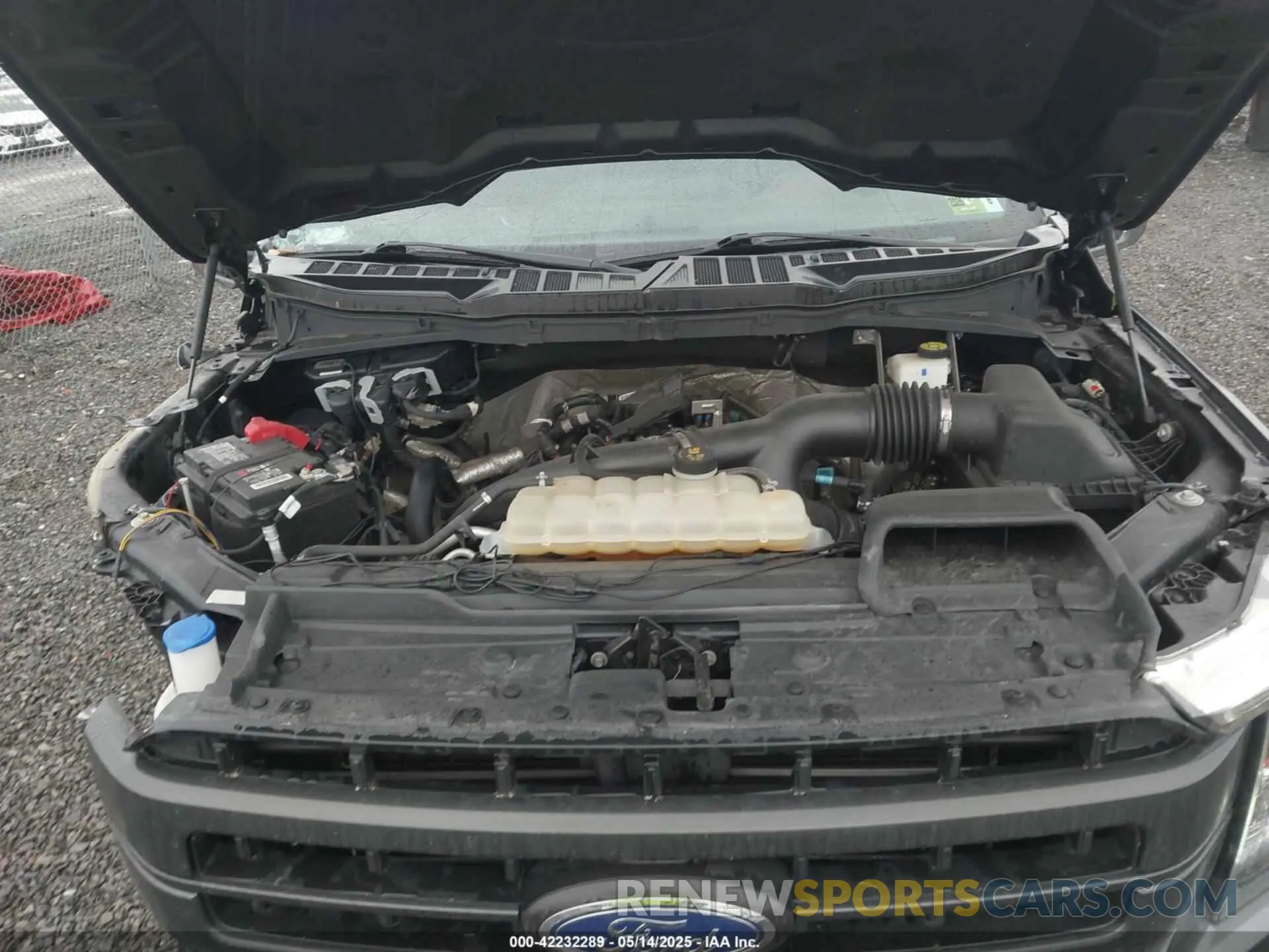 10 fotografías del automóvil dañado 1FTEW1EP8MKD00329 FORD F-150 2021