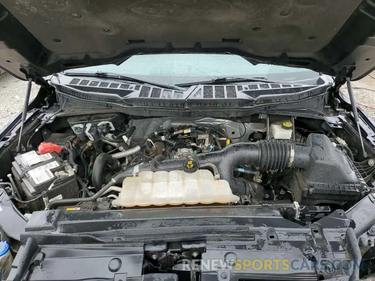 11 fotografías del automóvil dañado 1FTEW1EP9MFB52815 FORD F-150 2021