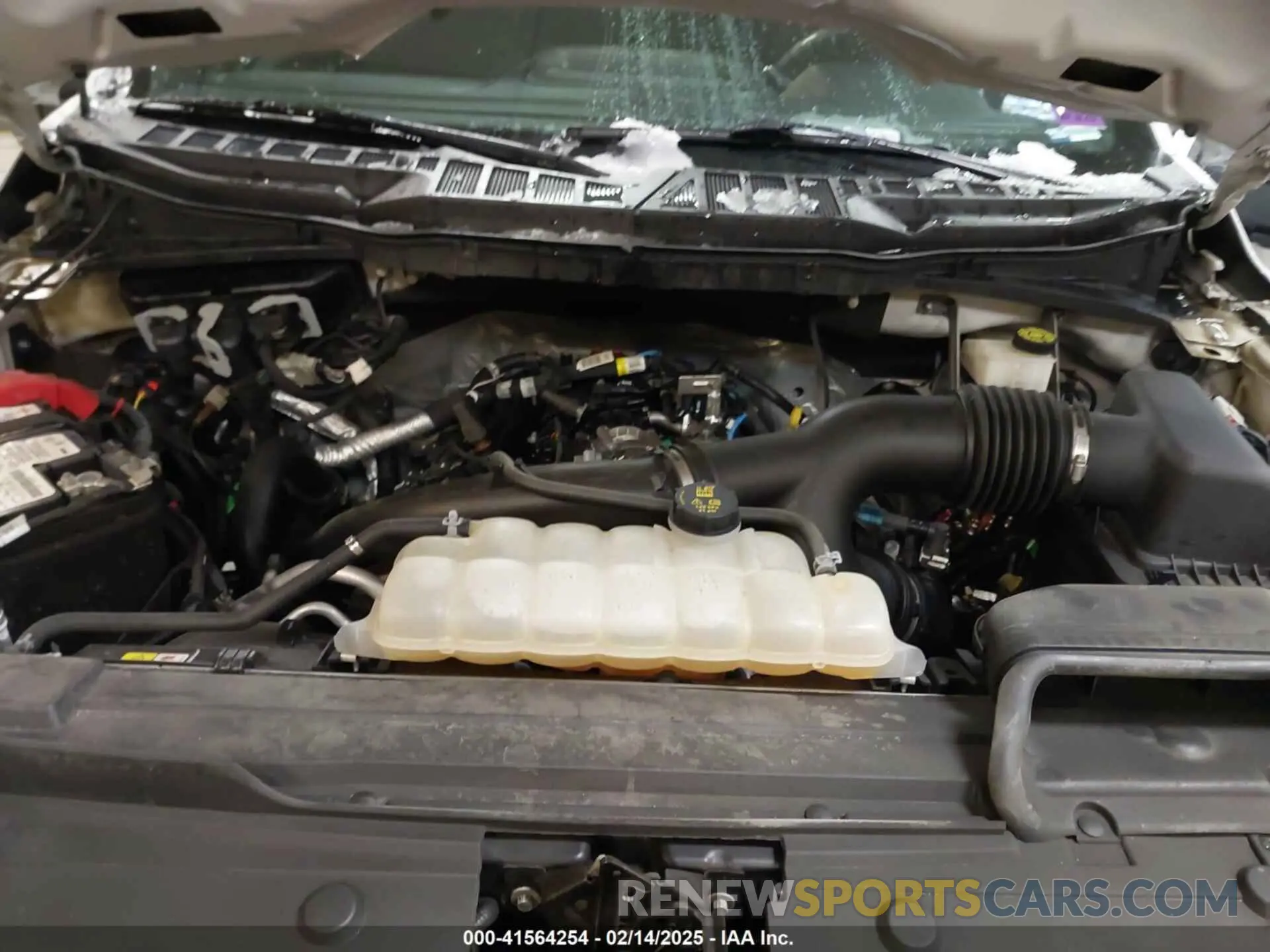 10 fotografías del automóvil dañado 1FTEW1EP9MFC65289 FORD F-150 2021