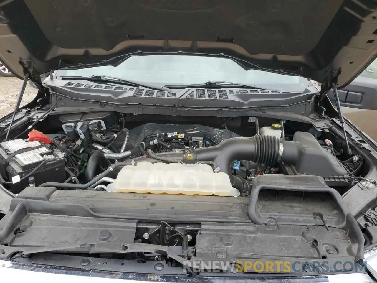 13 fotografías del automóvil dañado 1FTEW1EP9MFD04477 FORD F-150 2021