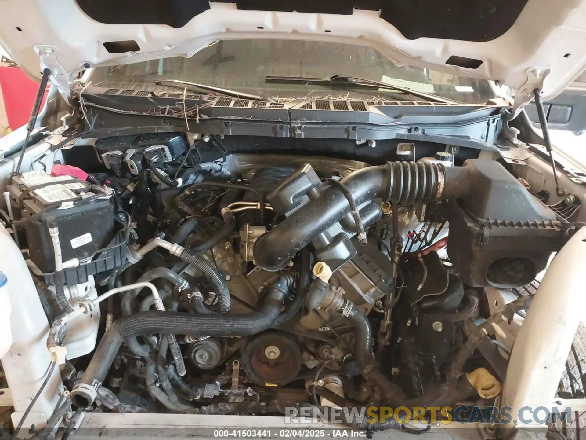10 fotografías del automóvil dañado 1FTFW1E51MFC25971 FORD F-150 2021
