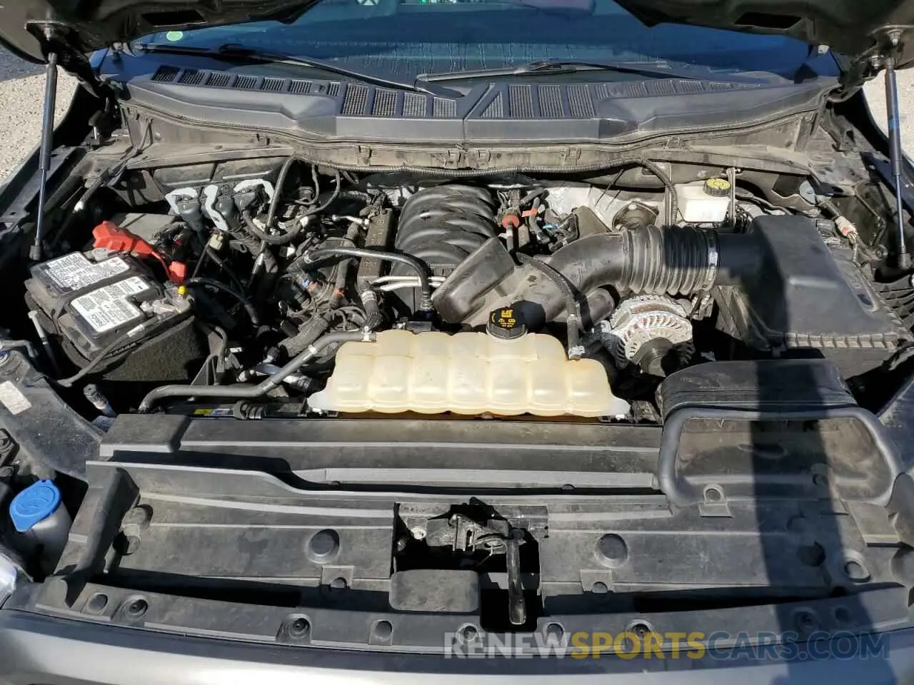 12 fotografías del automóvil dañado 1FTFW1E53MFA61865 FORD F-150 2021